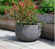Luna Planters