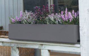 Balconia Window Boxes