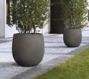 Savanne planters
