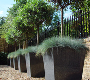 Large Tree Planters For Trees Tree Planters