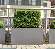 Large Planters 50-80cm