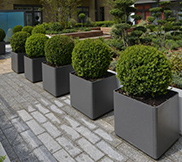 Lightweight Planters