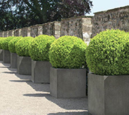 Square Planters