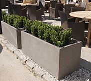Trough Planters