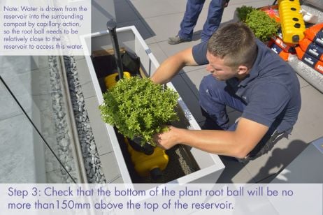 Positioning and planting container