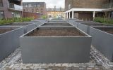 Planters size L2200 x W 2200 x H 900mm at Baylis Old School, Lambeth, London SE11