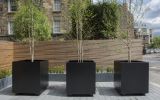 Steel tree planters