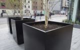 Steel tree planters