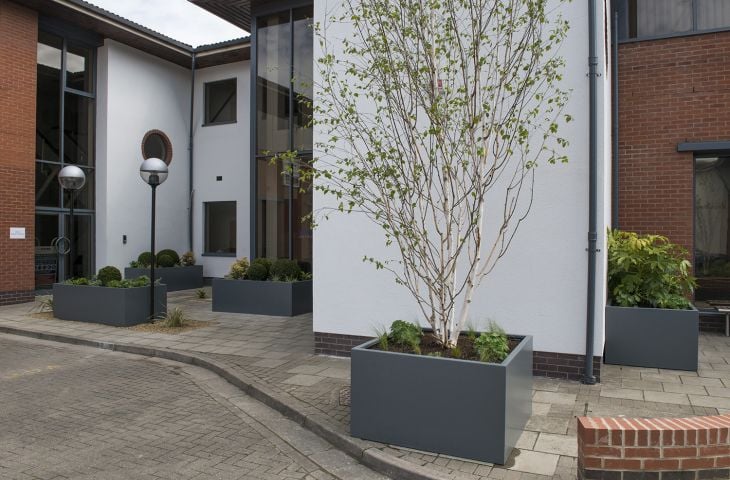 A range of planter sizes were used to green this office courtyard