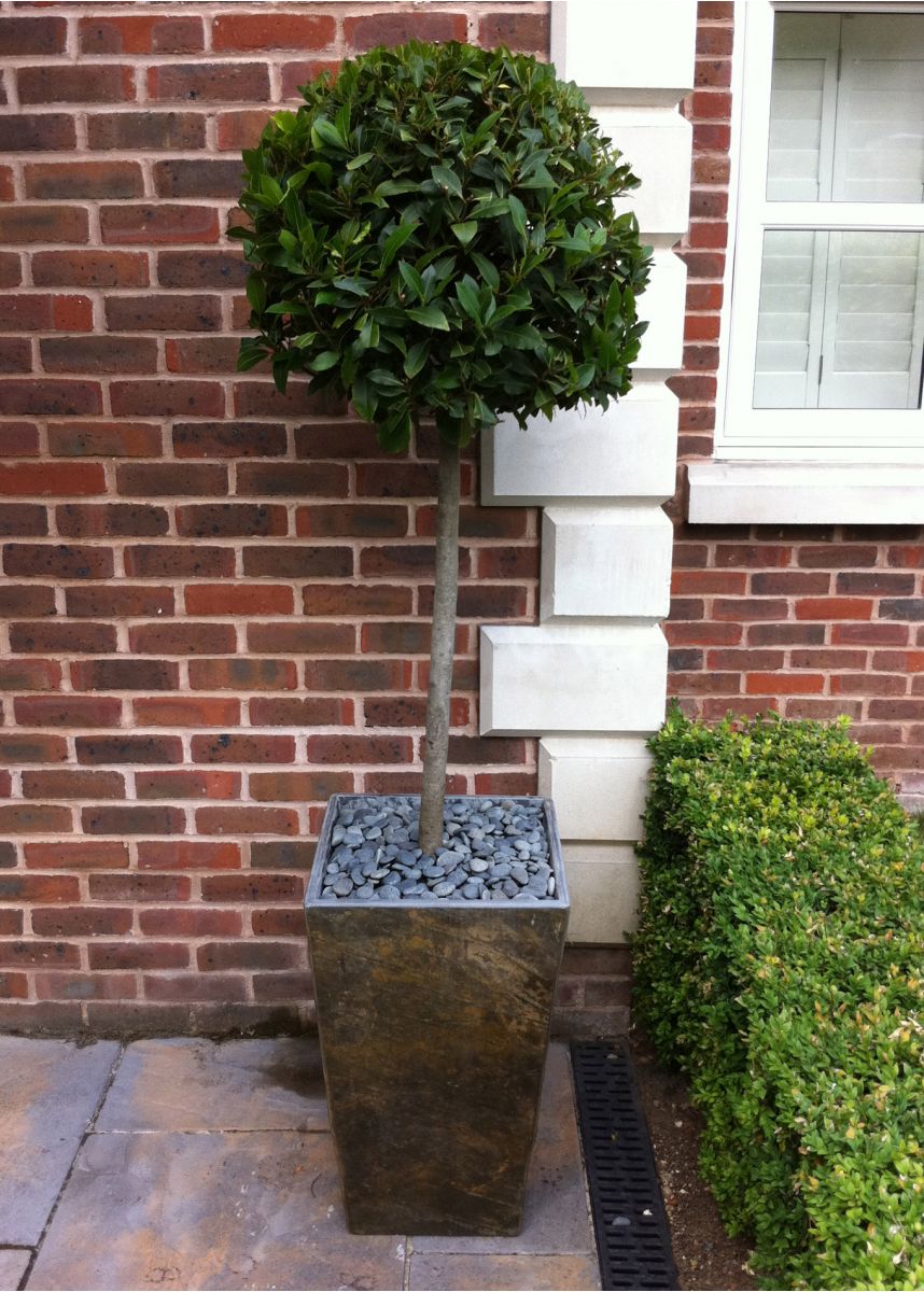 Slate Tall Taper Planter Natural Slate Garden Plant Pots