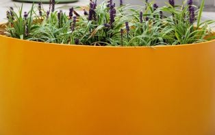 Boulevard Chromatic Planters