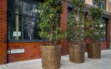 Large bronze planters