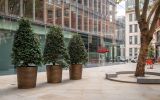 Bespoke planters in bronze