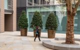 Bronze planters for public spaces