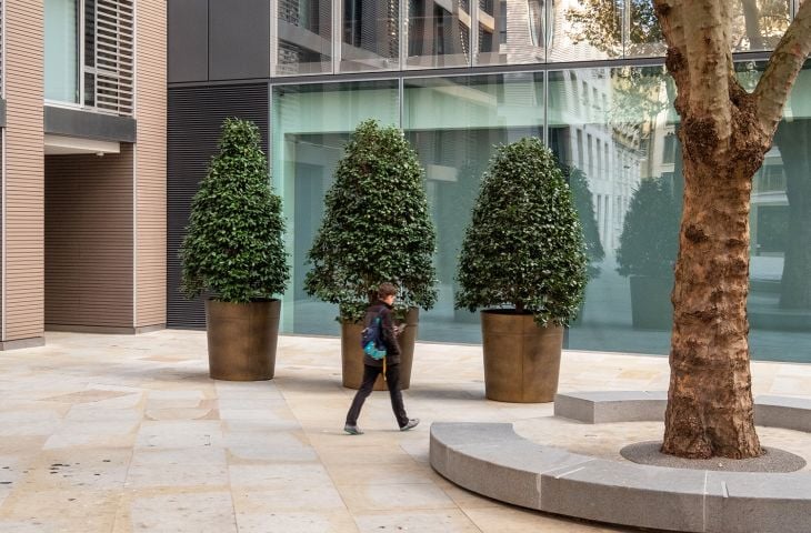 Bronze planters for public spaces