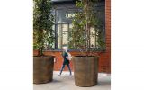 Bronze tree planters for public realm