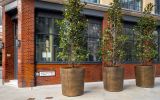 Extra large bronze metal planters