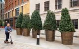 Bronze and brass tree planters