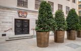 Large bronze plant pots for public spaces