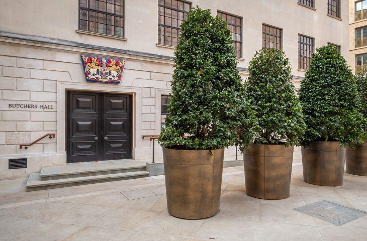 Large bronze plant pots for public spaces