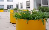 King’s College London – custom-coloured DELTA 45 Round planters