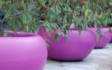 ALADIN 138cm planter in RAL 4008 [Signal Violet]