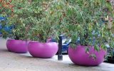 ALADIN 138cm planter in RAL 4008 [Signal Violet]