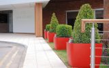At an entrance, the planters give a sense of arrival