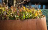 bespoke_corten_steel_planters