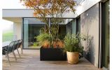 DELTA CUSTOM planters are sleek, uber-modern, and yet also highly functional
