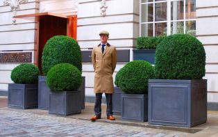 Lead planters at Rosewood London