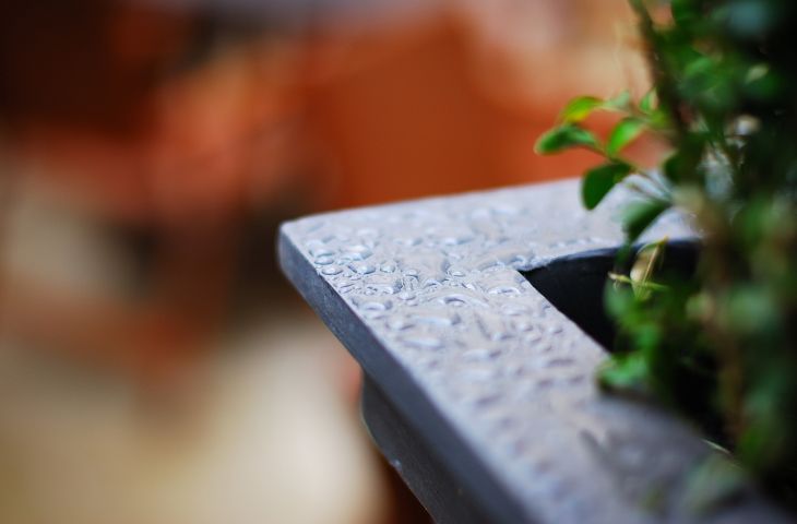 Close up of planters