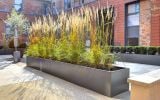 Powder coated steel planters in the courtyard of a residential development