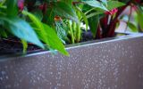 Our powder coated steel planters offer a flawless finish