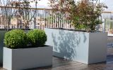 Galvanised steel planters at City of Westminster College