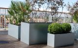 Galvanised steel planters at City of Westminster College