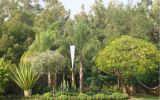 Spearhead 4000 in landscaped setting, Southern Spain