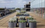 Bespoke powder coated steel planters at Warner Brothers offices, London 