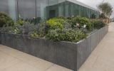 Zinc planters