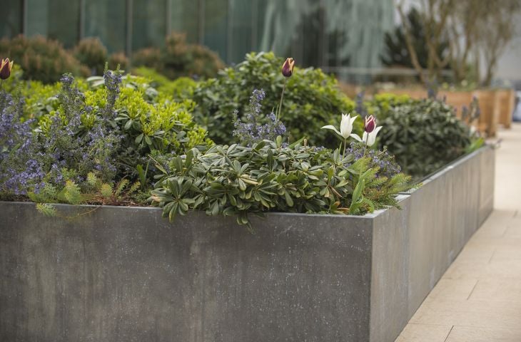 Zinc Planters & Made Order Natural Zinc Plant Containers - IOTA UK