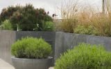 Zinc planters