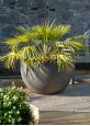Round bowl planter 80cm diameter