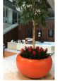 Office tree plant pot