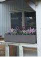 Window box planters 80cm