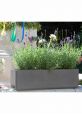 Rectangular window box planters