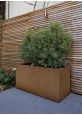 Corten Trough Planter