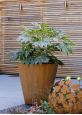 Corten Conical Garden Planter