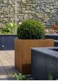 Weathered Corten Steel 60cm Cube Planter