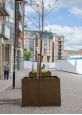 Corten Steel Extra Large Square Tree Planter