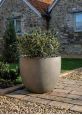 large bowl shaped planter